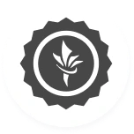 MSB (كندا)